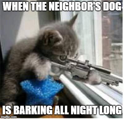 Need. Sleep. Badly | WHEN THE NEIGHBOR'S DOG; IS BARKING ALL NIGHT LONG | image tagged in cats with guns,cats,dogs,barking,sleep,neighbors | made w/ Imgflip meme maker