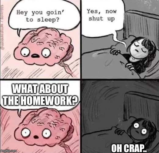 waking up brain | WHAT ABOUT THE HOMEWORK? OH CRAP.. | image tagged in waking up brain | made w/ Imgflip meme maker