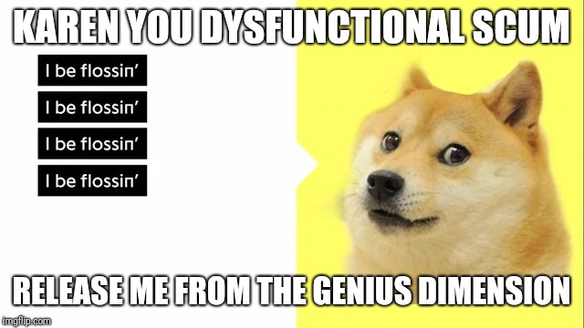 GENIUS DIMENSION | KAREN YOU DYSFUNCTIONAL SCUM; RELEASE ME FROM THE GENIUS DIMENSION | image tagged in doge | made w/ Imgflip meme maker
