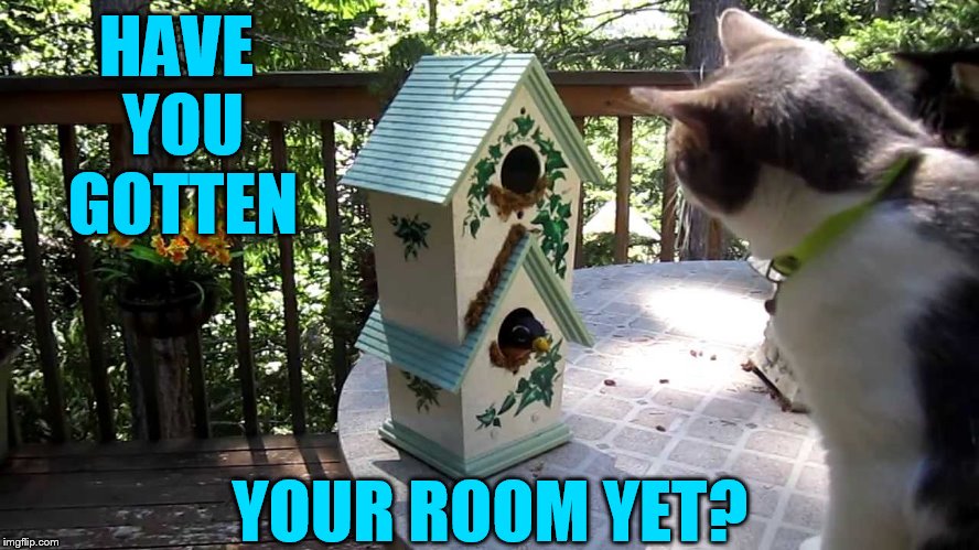 HAVE YOU GOTTEN YOUR ROOM YET? | made w/ Imgflip meme maker