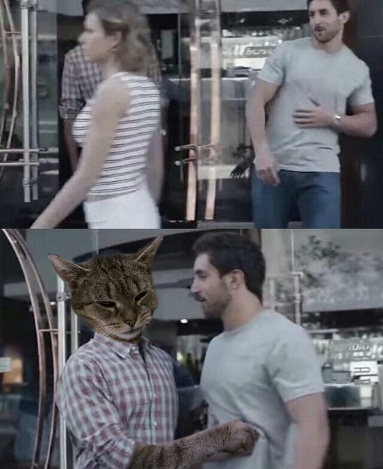 High Quality Cat stopping guy Blank Meme Template