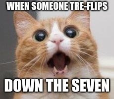 Wow | WHEN SOMEONE TRE-FLIPS; DOWN THE SEVEN | image tagged in wow | made w/ Imgflip meme maker