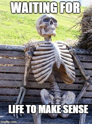 Waiting Skeleton | WAITING FOR; LIFE TO MAKE SENSE | image tagged in memes,waiting skeleton | made w/ Imgflip meme maker