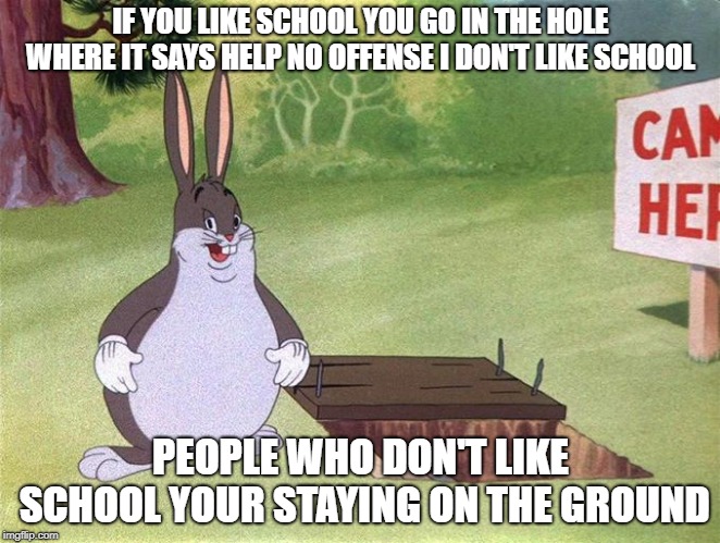 Big Chungus | IF YOU LIKE SCHOOL YOU GO IN THE HOLE WHERE IT SAYS HELP NO OFFENSE I DON'T LIKE SCHOOL; PEOPLE WHO DON'T LIKE SCHOOL YOUR STAYING ON THE GROUND | image tagged in big chungus | made w/ Imgflip meme maker