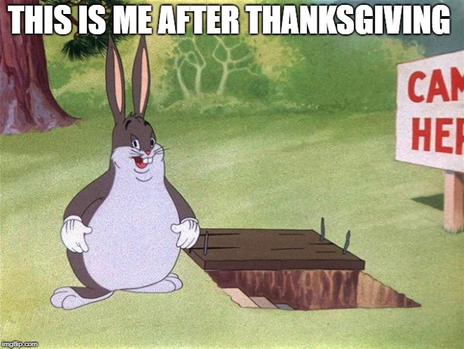 Big Chungus | THIS IS ME AFTER THANKSGIVING | image tagged in big chungus | made w/ Imgflip meme maker