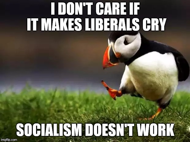Unpopular Opinion Puffin | I DON'T CARE IF IT MAKES LIBERALS CRY; SOCIALISM DOESN'T WORK | image tagged in memes,unpopular opinion puffin | made w/ Imgflip meme maker