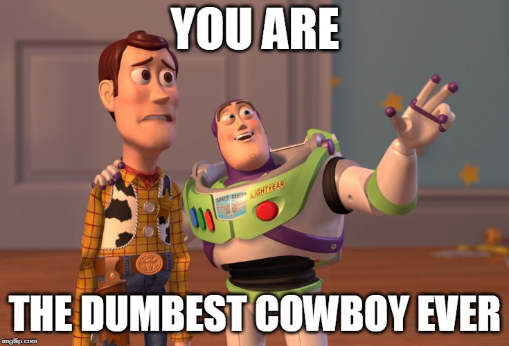 X, X Everywhere Meme | YOU ARE; THE DUMBEST COWBOY EVER | image tagged in memes,x x everywhere | made w/ Imgflip meme maker