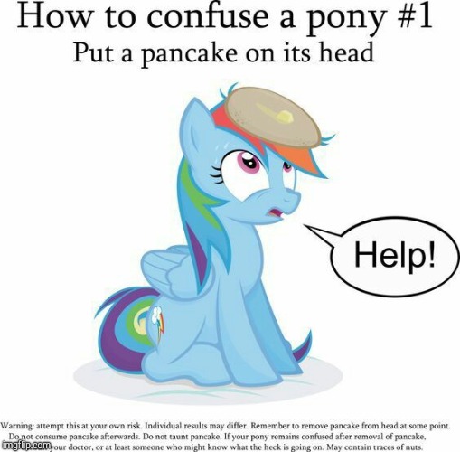 image tagged in memes,ponies,pancake,confusion,repost | made w/ Imgflip meme maker