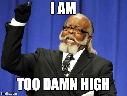 I AM TOO DAMN HIGH | image tagged in memes,too damn high | made w/ Imgflip meme maker