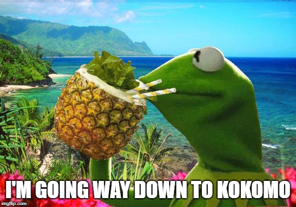Kermit needs a vacation that's way down to Kokomo | I'M GOING WAY DOWN TO KOKOMO | image tagged in vacation kermit | made w/ Imgflip meme maker