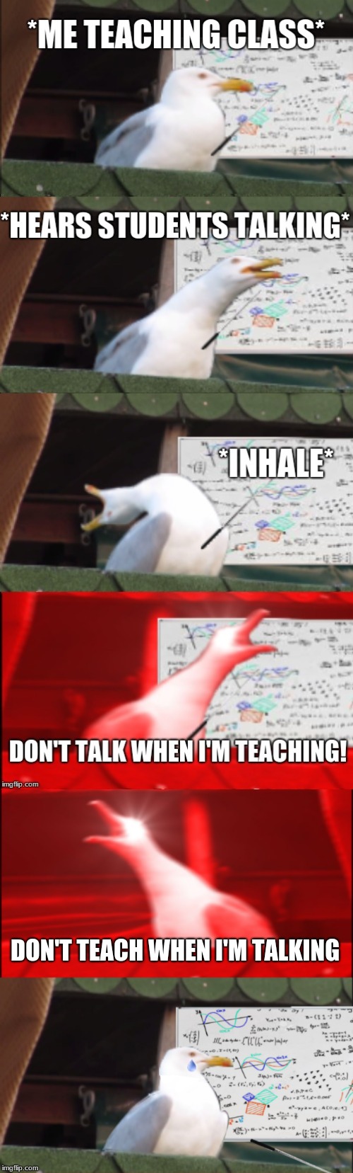 DON'T TEACH WHEN I'M TALKING | image tagged in memes,inhaling seagull | made w/ Imgflip meme maker