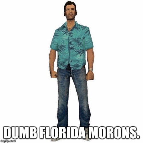 tommy vercetti | DUMB FLORIDA MORONS. | image tagged in tommy vercetti | made w/ Imgflip meme maker