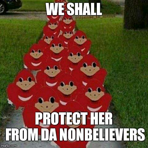 Ugandan knuckles army | WE SHALL PROTECT HER FROM DA NONBELIEVERS | image tagged in ugandan knuckles army | made w/ Imgflip meme maker