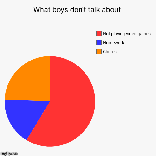 What boys don't talk about | Chores, Homework, Not playing video games | image tagged in funny,pie charts | made w/ Imgflip chart maker
