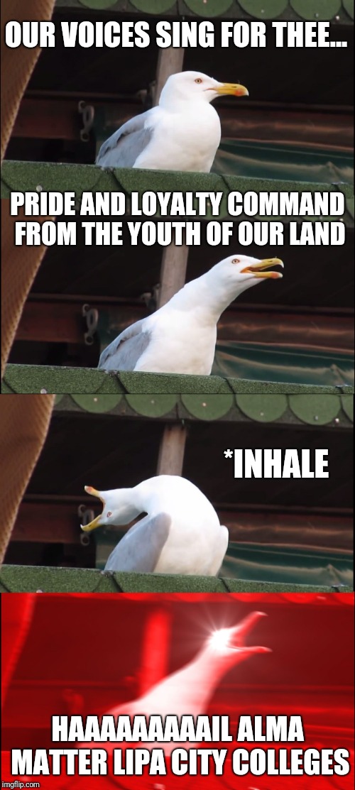 Inhaling Seagull Meme | OUR VOICES SING FOR THEE... PRIDE AND LOYALTY COMMAND FROM THE YOUTH OF OUR LAND; *INHALE; HAAAAAAAAAIL ALMA MATTER LIPA CITY COLLEGES | image tagged in memes,inhaling seagull | made w/ Imgflip meme maker