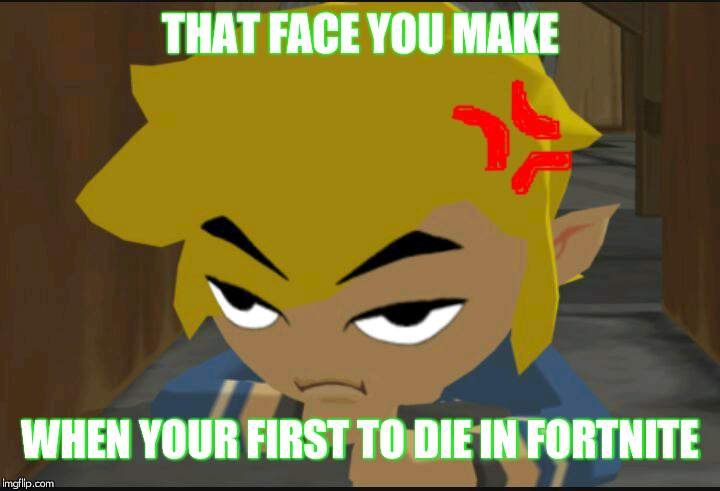 Frustrated Link | THAT FACE YOU MAKE; WHEN YOUR FIRST TO DIE IN FORTNITE | image tagged in frustrated link | made w/ Imgflip meme maker
