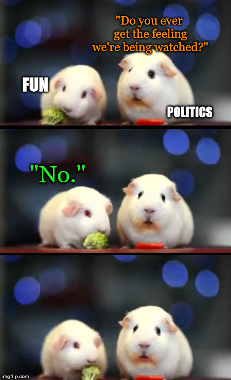 Despite all my rage I am still just a rat in a cage.  | "Do you ever get the feeling we're being watched?"; FUN; POLITICS; "No." | image tagged in imgflipinati,graphiq,amazon,inqtel,cia | made w/ Imgflip meme maker