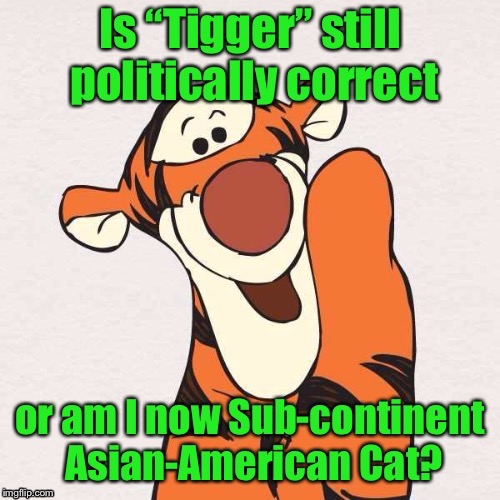 . | image tagged in tigger,politically correct,new name,cat memes | made w/ Imgflip meme maker
