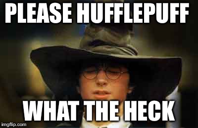 Harry Potter sorting hat | PLEASE HUFFLEPUFF; WHAT THE HECK | image tagged in harry potter sorting hat | made w/ Imgflip meme maker
