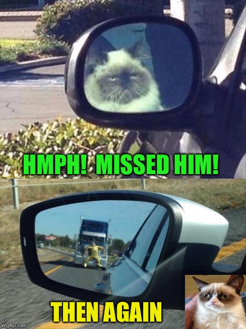 New meaning to "getting in your grill". | HMPH!  MISSED HIM! THEN AGAIN | image tagged in grumpy cat,accident,memes,funny | made w/ Imgflip meme maker