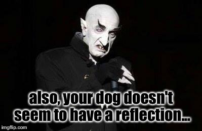 vampire | also, your dog doesn't seem to have a reflection... | image tagged in vampire | made w/ Imgflip meme maker