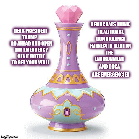 National Emergency | DEMOCRATS THINK; DEAR PRESIDENT TRUMP 
   GO AHEAD AND OPEN THE EMERGENCY GENIE BOTTLE TO GET YOUR WALL; HEALTHCARE; GUN VIOLENCE; FAIRNESS IN TAXATION; THE ENVIRONMENT; AND DACA; ARE EMERGENCIES | image tagged in nationalemergency,mega,trump,thewall | made w/ Imgflip meme maker