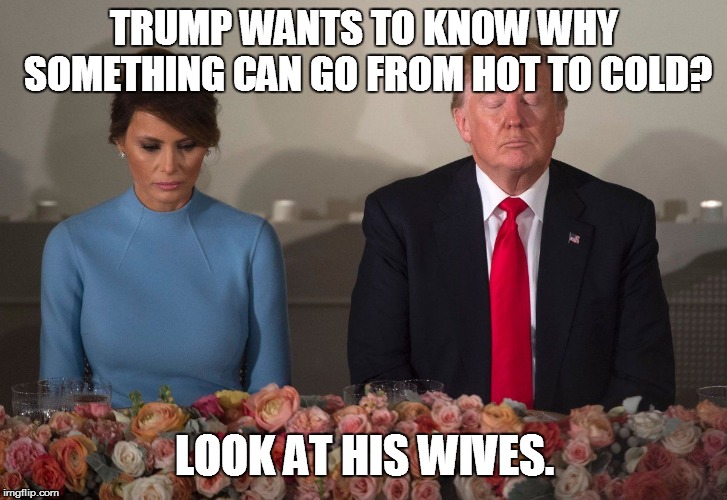 Trump's Polar Vortex | TRUMP WANTS TO KNOW WHY SOMETHING CAN GO FROM HOT TO COLD? LOOK AT HIS WIVES. | image tagged in donald trump,melania trump,global warming,polar vortex | made w/ Imgflip meme maker
