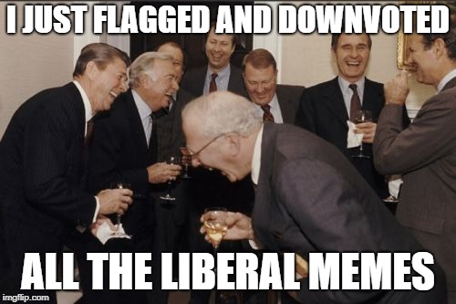 Laughing Men In Suits Meme | I JUST FLAGGED AND DOWNVOTED; ALL THE LIBERAL MEMES | image tagged in memes,laughing men in suits,libtards | made w/ Imgflip meme maker