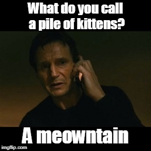 Meowtain | What do you call a pile of kittens? A meowntain | image tagged in cat | made w/ Imgflip meme maker