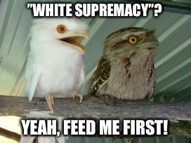 Bird Weekend February 1-3, a moemeobro, Claybourne, and 1forpeace event | ”WHITE SUPREMACY”? YEAH, FEED ME FIRST! | image tagged in birds | made w/ Imgflip meme maker