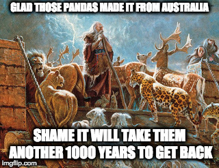 Noah loading animals on ark | GLAD THOSE PANDAS MADE IT FROM AUSTRALIA; SHAME IT WILL TAKE THEM ANOTHER 1000 YEARS TO GET BACK | image tagged in noah loading animals on ark | made w/ Imgflip meme maker