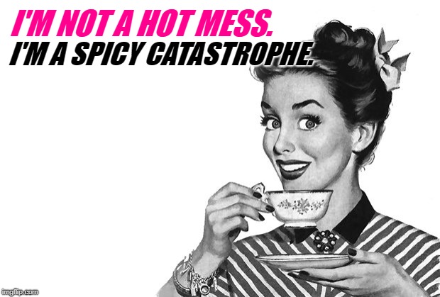 1950s Housewife | I'M NOT A HOT MESS. I'M A SPICY CATASTROPHE. | image tagged in 1950s housewife | made w/ Imgflip meme maker