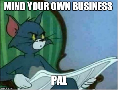 Interrupting Tom's Read | MIND YOUR OWN BUSINESS PAL | image tagged in interrupting tom's read | made w/ Imgflip meme maker
