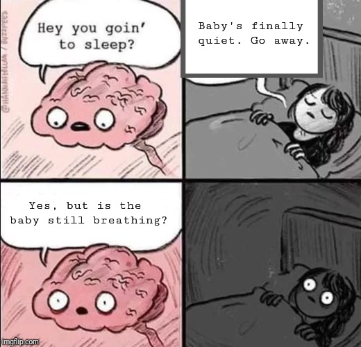 Only sleeping? | Baby's finally quiet. Go away. Yes, but is the baby still breathing? | image tagged in waking up brain,parenting | made w/ Imgflip meme maker