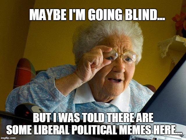Still Can't Find Any | MAYBE I'M GOING BLIND... BUT I WAS TOLD THERE ARE SOME LIBERAL POLITICAL MEMES HERE... | image tagged in memes,grandma finds the internet | made w/ Imgflip meme maker