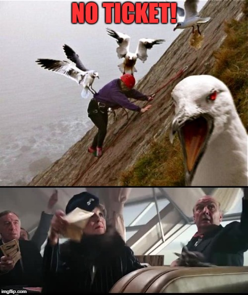 Indiana Johnathan seagull and the the last crusade | NO TICKET! | image tagged in seagull attacking | made w/ Imgflip meme maker