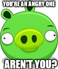 Angry Birds Pig Meme | YOU'RE AN ANGRY ONE AREN'T YOU? | image tagged in memes,angry birds pig | made w/ Imgflip meme maker
