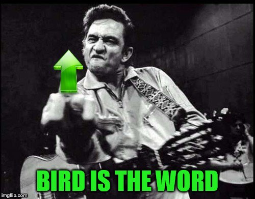 BIRD IS THE WORD | made w/ Imgflip meme maker