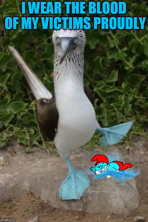 blue footed boobie dancing | I WEAR THE BLOOD OF MY VICTIMS PROUDLY | image tagged in blue footed boobie dancing | made w/ Imgflip meme maker