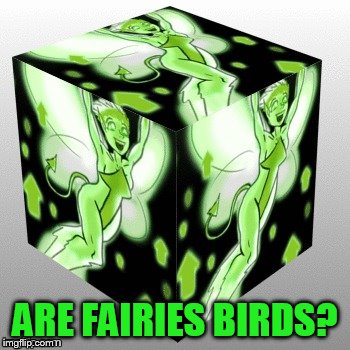 ARE FAIRIES BIRDS? | made w/ Imgflip meme maker