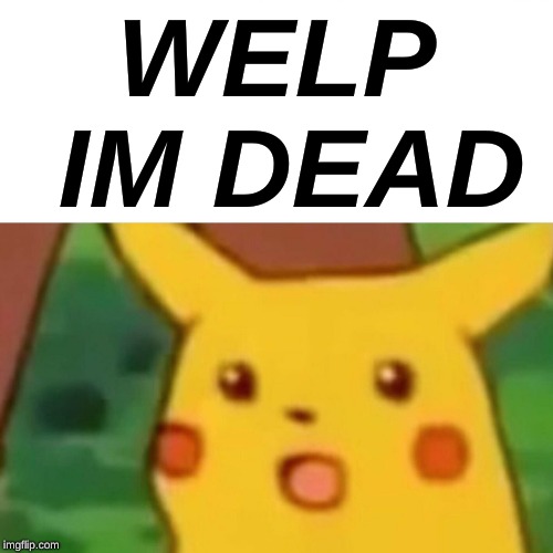 Surprised Pikachu Meme | WELP IM DEAD | image tagged in memes,surprised pikachu | made w/ Imgflip meme maker