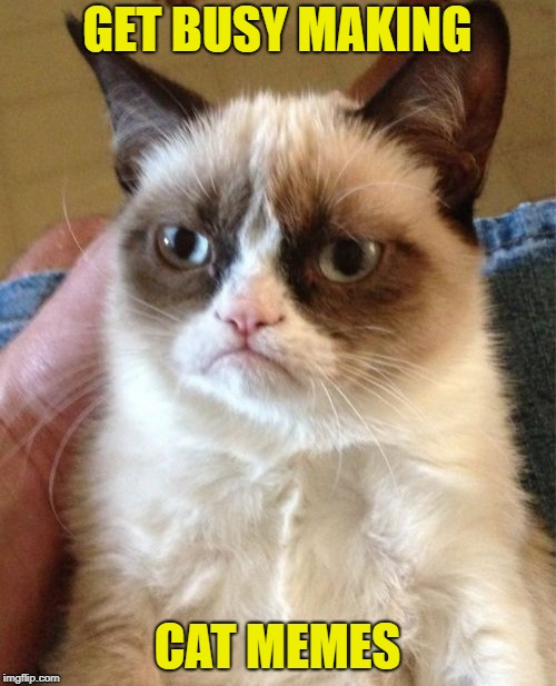 Grumpy Cat Meme | GET BUSY MAKING CAT MEMES | image tagged in memes,grumpy cat | made w/ Imgflip meme maker
