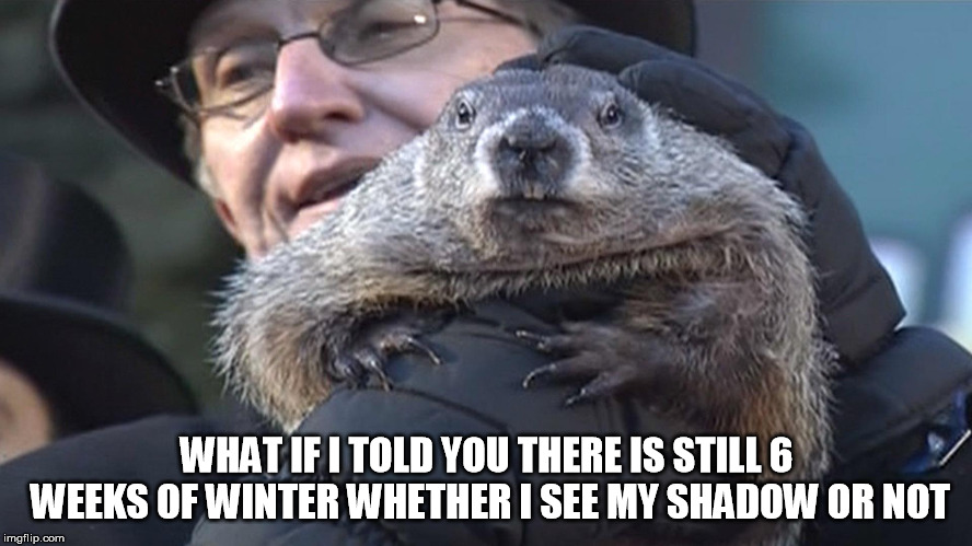 Groundhog Day | WHAT IF I TOLD YOU THERE IS STILL 6 WEEKS OF WINTER WHETHER I SEE MY SHADOW OR NOT | image tagged in groundhog day,spring,traditions,funny,memes,groundhog | made w/ Imgflip meme maker