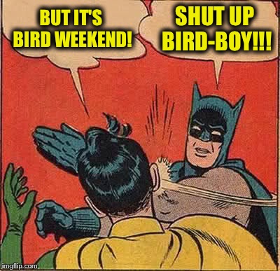 Slappy Birdday Robin - Bird Weekend - Feb 1st-3rd | BUT IT'S BIRD WEEKEND! SHUT UP BIRD-BOY!!! | image tagged in memes,batman slapping robin | made w/ Imgflip meme maker