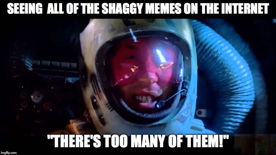 Too many Shaggy memes | SEEING  ALL OF THE SHAGGY MEMES ON THE INTERNET; "THERE'S TOO MANY OF THEM!" | image tagged in shaggy meme,scooby doo shaggy,shaggy,star wars,star wars too many of them | made w/ Imgflip meme maker