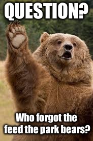 World Wide Tragedies: Feb. 1-7 | QUESTION? Who forgot the feed the park bears? | image tagged in grizzly bear,feed the bears,world wide tragedies,drsarcasm | made w/ Imgflip meme maker