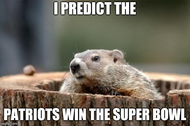 Groundhog | I PREDICT THE PATRIOTS WIN THE SUPER BOWL | image tagged in groundhog | made w/ Imgflip meme maker