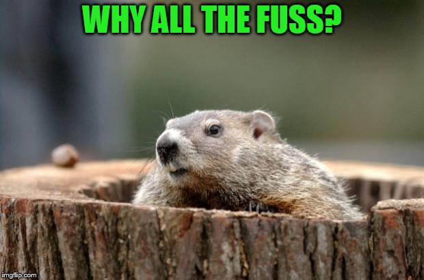 Groundhog | WHY ALL THE FUSS? | image tagged in groundhog | made w/ Imgflip meme maker