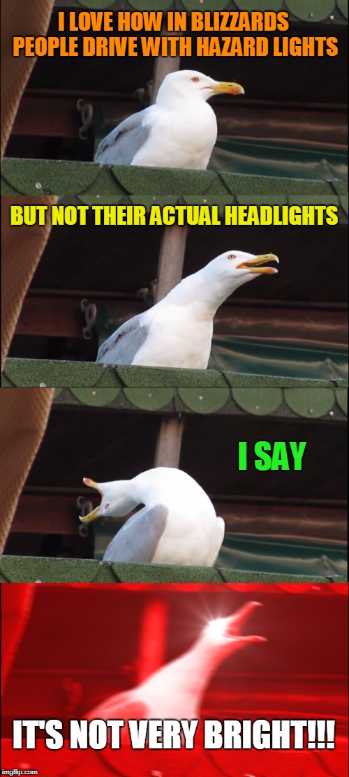 Inhaling Seagull | I LOVE HOW IN BLIZZARDS PEOPLE DRIVE WITH HAZARD LIGHTS; BUT NOT THEIR ACTUAL HEADLIGHTS; I SAY; IT'S NOT VERY BRIGHT!!! | image tagged in memes,inhaling seagull | made w/ Imgflip meme maker