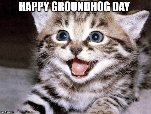 Happy Groundhog Day | HAPPY GROUNDHOG DAY | image tagged in groundhog day,kitten,funny meme | made w/ Imgflip meme maker